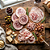 PANCETTA REDONDA DEFUMADA - FATIADA 200GR BERK CHARCUTARIA - Imagem 5