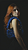 Celeste Azul - Imagem 3