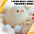 Pintinho Taba Squishy Mole Brinquedo Fidget Frango Antistres Envio Imediato - Imagem 8