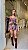 Conj. Bata/Short Boho Animal Print ! - Imagem 1