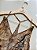 Blusa Estampada Open ! - Imagem 6