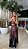 Conj. Couro P.U Corset/Saia 5 estrelas ! - Imagem 8