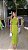 Vestido Longo Slim Com Detalhe na Cintura Open ! - Imagem 2