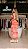 Vestido Longo Tule/Aviamento Ysla ! - Imagem 5