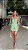 Conj. Alfaiataria Corset TQC/Saia 5 Estrelas ! - Imagem 6
