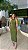 Vestido Arpoador Tricot Longuete ! - Imagem 6