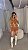 Conj. Alfaiataria Cropped/Shorts Fivela 5 Estrelas ! - Imagem 5