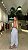 Conjunto Stripes Acqua Pimpnella ! - Imagem 2