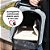 Bolsa de Transporte para Cao Gato Cachorro Pet Animal de Estimaçao Expansivel Pequeno Porte Lazer Aviao Carro Onibus - Imagem 2