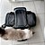 Bolsa de Transporte para Cao Gato Cachorro Pet Animal de Estimaçao Expansivel Pequeno Porte Lazer Aviao Carro Onibus - Imagem 4