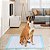 Tapete Higienico Cao Pet Cachorro 60x90 Animal de Estimaçao Antivazamento 20 Unidades Treinamento Adestramento - Imagem 5