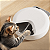 Comedouro Automático Gato Cachorro Programável Ração Pet - Imagem 7