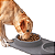 Comedouro Bebedouro Tapete 2 em 1 Silicone Dobrável Pet Cão Gato - Imagem 8