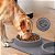 Comedouro Bebedouro Tapete 2 em 1 Silicone Dobrável Pet Cão Gato - Imagem 9
