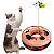 Brinquedo Interativo Para Gatos Pets Colorido Bolinha Guizo - Imagem 3