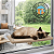 Cama Para Gato Suspensa Janela Rede Caminha Pet Resistente - Imagem 6
