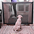 Tela Grade Porta Cachorro Pet Caes Gato Crianças Segurança manual - Imagem 4