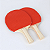 Kit Completo 2 Raquetes Rede Ping Pong Tenis Mesa Premium - Imagem 6