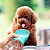 Garrafa de Água Portátil Para Pets 350ml Antivazamento ABS - Imagem 4