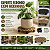 Suporte para Vaso Plantas Redondo 30cm Rodinhas Resistentes - Imagem 6
