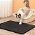 Tapete Higiênico G Coletor De Areia Para Gato 45X60CM - Imagem 10