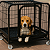 Caixa Transporte Cães Gaiola Cachorro Gato Pet Canil Pet Shop Seguro XG - Imagem 5