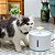 Fonte de água para gatos - Imagem 12