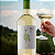 Vinho Branco Las Perdices  Chac Chac Sauvignon Blanc 750ml 6 garrafas - Imagem 3