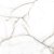 PISO LUME THASSOS GRIS ACETINADO 75X75 *VALOR CAIXA - Imagem 1