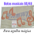 Talagarça desenhada notas musicais para agulha mágica 60/40 - Imagem 1