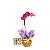 Orquídea Grande Pink com Ferrero Rocher - Imagem 1