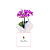 Orquídea Média Pink - Imagem 1
