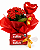 Kalanchoe Para Presente - Imagem 1