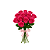 Buquê 12 Rosas Pink - Imagem 1