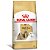 Ração Royal Canin Shih Tzu Cães Adultos 2,5 kg - Imagem 1