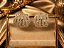 BRINCO FOLHAS LUXO EAR CUFF CRAVEJ ZIRC - Imagem 3