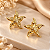 BRINCO ESTRELA DO MAR TEXTUR - Imagem 1