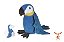 Arara Azul Grávida com 1 Filhote - Imagem 1