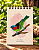 Diário da Floresta M - Saíra-militar - Imagem 1