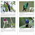 Guia Fotográfico AVES do Pantanal - Imagem 2