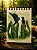 Diário da Floresta P - Arara-azul-de-lear - Imagem 1