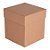 CAIXA KRAFT P/CANECA  12 X 15 X 12  PCTE C/10UN - Imagem 1