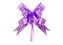 LAÇO FACIL 18MMX34MM ROXO C/10  7897775199014 - Imagem 2