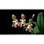 Bulbophyllum Ambrosiae - Imagem 2