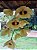 Dendrobium Gatton Sunray - Imagem 1