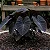 Colocasia esculenta var. 'Black Magic' - Imagem 3