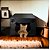 Kit 10 Casas de Gato Nicho Toca Caminha em MDF - Imagem 2
