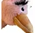 Mordedor Premium Brinquedo Avestruz para Pets - Imagem 3
