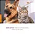 Spray Relaxante Stress Away Soft Care 100 ml - Cães e Gatos - Imagem 5