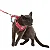 Conjunto Peitoral Neocomfy e Guia para Gatos - Imagem 6
